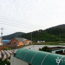 고대도5 이미지