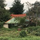 (주)떡과풍경 네이버블로그