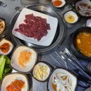정가네정육식당 티스토리
