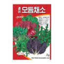 씨앗
