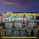 경주 풀빌라 파티오 | 경주 숙소 애견동반 가능 경주풀빌라파티오 가격 정보와 주차 안내 포함