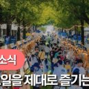 꽃데이 - 밀양시 중앙로 266-2 | 꽃데이