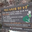 근모농장 이미지