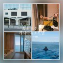 속초초등학교 | 카시아속초호텔 후기 오션뷰 객실.체크인.수영장.애견동반룸 총정리