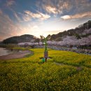 울산, 선암 수변공원의 봄 이미지