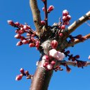 함양(통영) 이미지