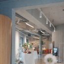 종로-연건-종로-연-423 | 강아지옷 플럼스튜디오 팝업 후기::) 공간부터 무드까지 취향저격!