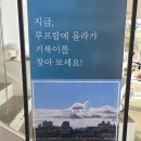 톰앤제리 | [강원도 속초, 스위밍 터틀 카페] 아야진해변카페 추천, 미친 속초오션뷰카페 후기
