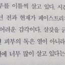 치치숲