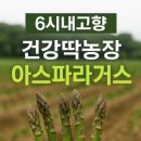 건강딱농장 이미지