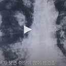 린 전자담배 이미지