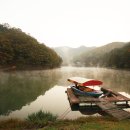 숲속의호수 이미지