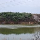 신평공설시장 네이버블로그