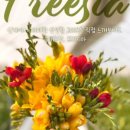 올래농장 이미지