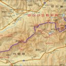 한솔 인공수정소 Daum카페