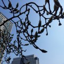삼익세무회계사무소 이미지