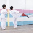 바른아이 태권도 이미지