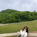 여행 [2편 고선생화덕생선구이 , 삼양목장 , 초당우가 , 엔드 투 앤드 , 강문해변 솟대다리 , <b>글램</b>독]