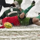 꿈의 비행 이미지