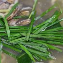 갯뻘식당 이미지