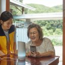 나무와열매사회적협동조합 네이버블로그