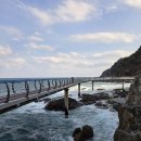 정동진역 이미지