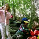 숲속자연유치원 이미지