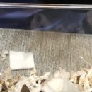 애니힐동물병원 이미지