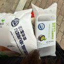 경남사 | #28 천고마비_하늘은 높고 말은 살찌는데 나는 말인가보다