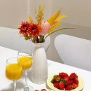 퇴촌로-1 이미지