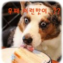 펀비어킹안산 - 안산시 단원구 고잔2길 45 | 펀비어킹안산