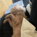 발렌타인PC방 이미지