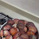 요리비책 이미지