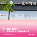 효자우리약국 이미지