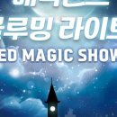 매직라이트 이미지