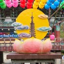 송파구 도란도란생태길 | 가족과 함께한 월정사 여행기 | 전나무숲길 산책부터 석가탄신일 연등까지, 오대산 힐링코스 추천