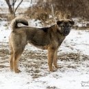 진범이네 농장 이미지