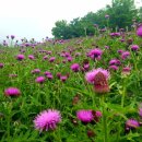 카페시장 이미지