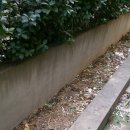 컴프랜드 이미지