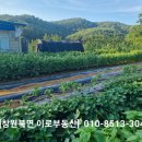 대산리 화장실 이미지