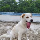 어강동물병원 이미지