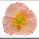 양주별산대놀이마당 공연장 | 2-1.중랑천:경기 양주시≫의정부시