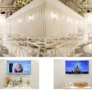 더블유 페스타 이미지