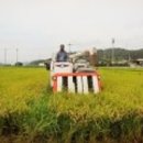 별빛촌 성재농장 이미지