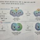 p55 b.p비교 이미지