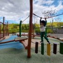 동네놀이터 | 화창한 가을, 동네 놀이터 투어와 롯데리아 민생지원금 활용 후기