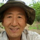 돌실농장 네이버블로그