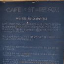 레이크펫스튜디오 네이버블로그