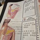 이현선의 소통테라피