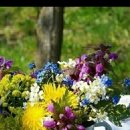 수완대성베르힐아파트 이미지